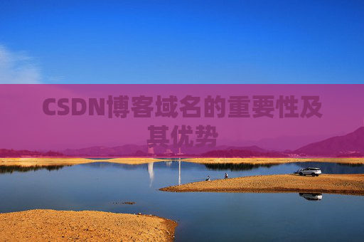 CSDN博客域名的重要性及其优势